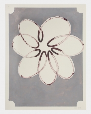 A line painting of a flower on a gray background