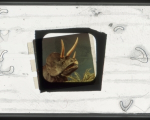 A framed artwork with a dinosaur in the center floating in white space with varied wishbone-shaped abstractions