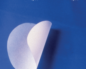A photograph of the cover of a book produced on the occasion of Frieze art fair for Thomas Kovachevich