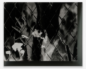 A black and white photograph of a chainlink fence with hands behind it, adjusted digitally to be shadowy
