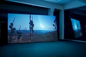 An installation view of NEGATIVE SPACE in Dusseldorf with a large video being screened