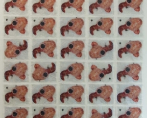 An image of many fibroids, repeated and rotate in a grid of 5 x 10