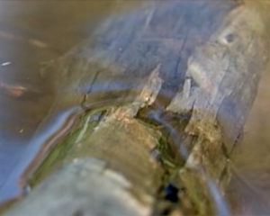 A still from a film that depicts a log underwater