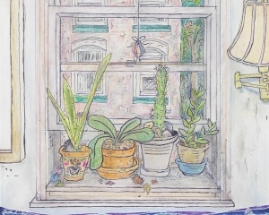 Drawing of houseplants on a window sill