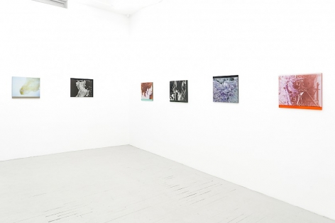 6 color photographs on plexiglass installed around the corner of the room: 2 on the far wall, 4 on the close wall