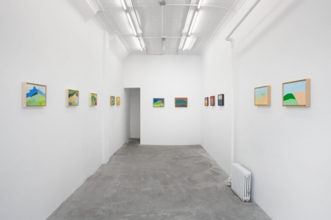 A photograph of the entire gallery from the front: 12 technicolor paintings hung in a single row
