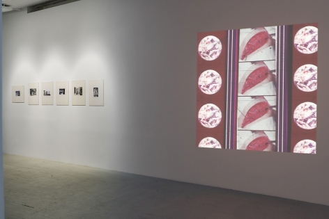A view of one wall which on the left has 6 black and white photographs by Hervé Guibert in cream mattes and on the right has a projection by Luther Price depicting several open wounds, repeated.